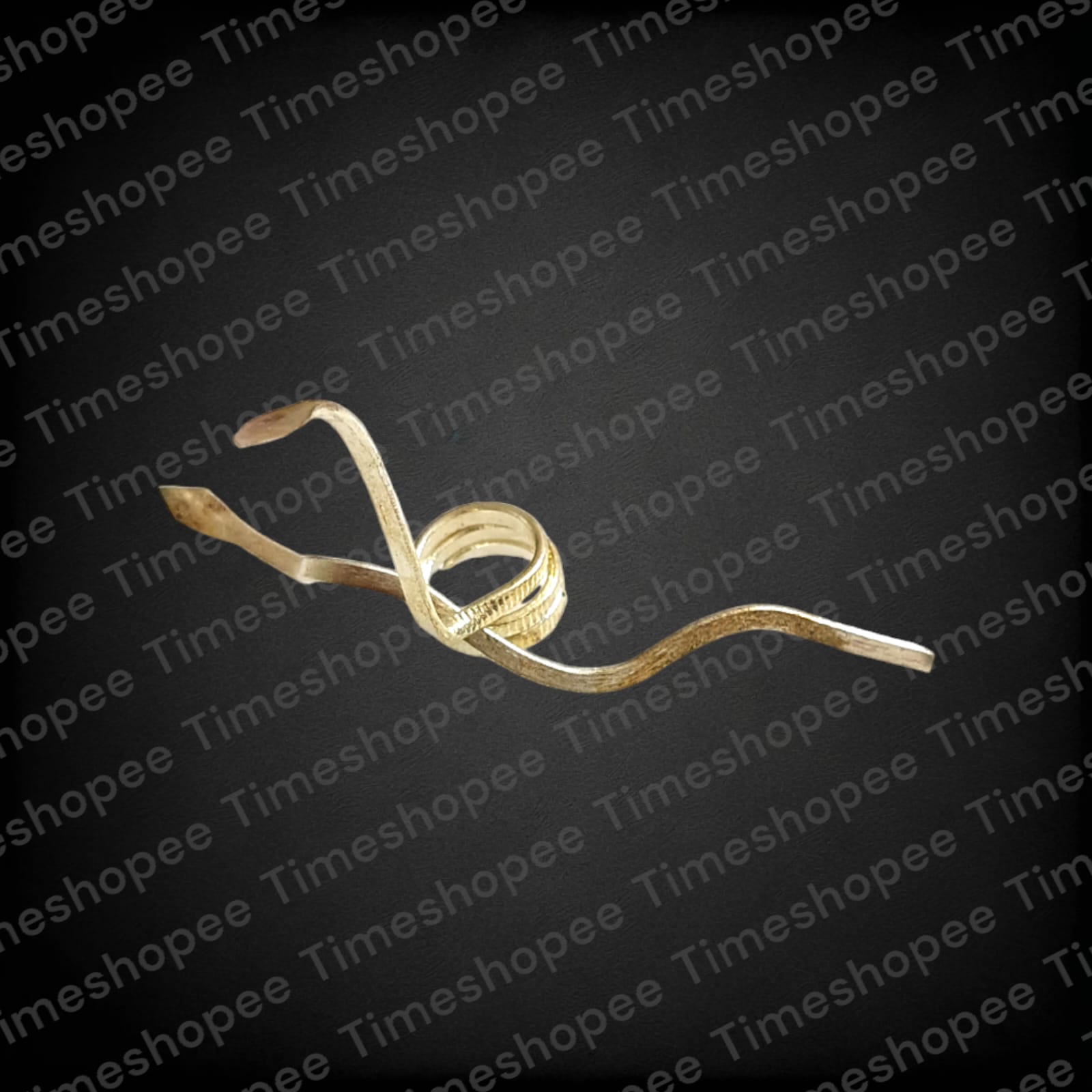 Silver-Plated Nag Nagin Joda Pair for Kal Sarp Dosha Remedies by Timeshopee