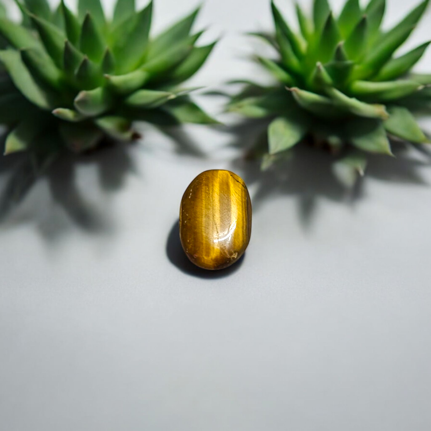 Tiger Eye Stone – Natural Brown Crystal for Confidence, Motivation & Meditation