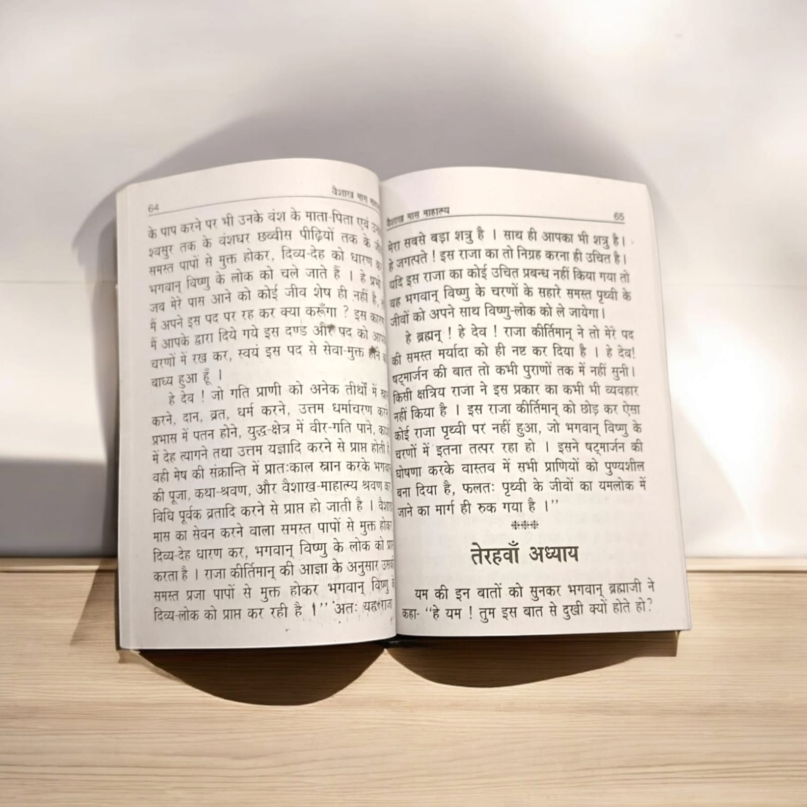 Vaishakh Mahatmya Hindi Book on Vaishakh Month Rituals and Significance