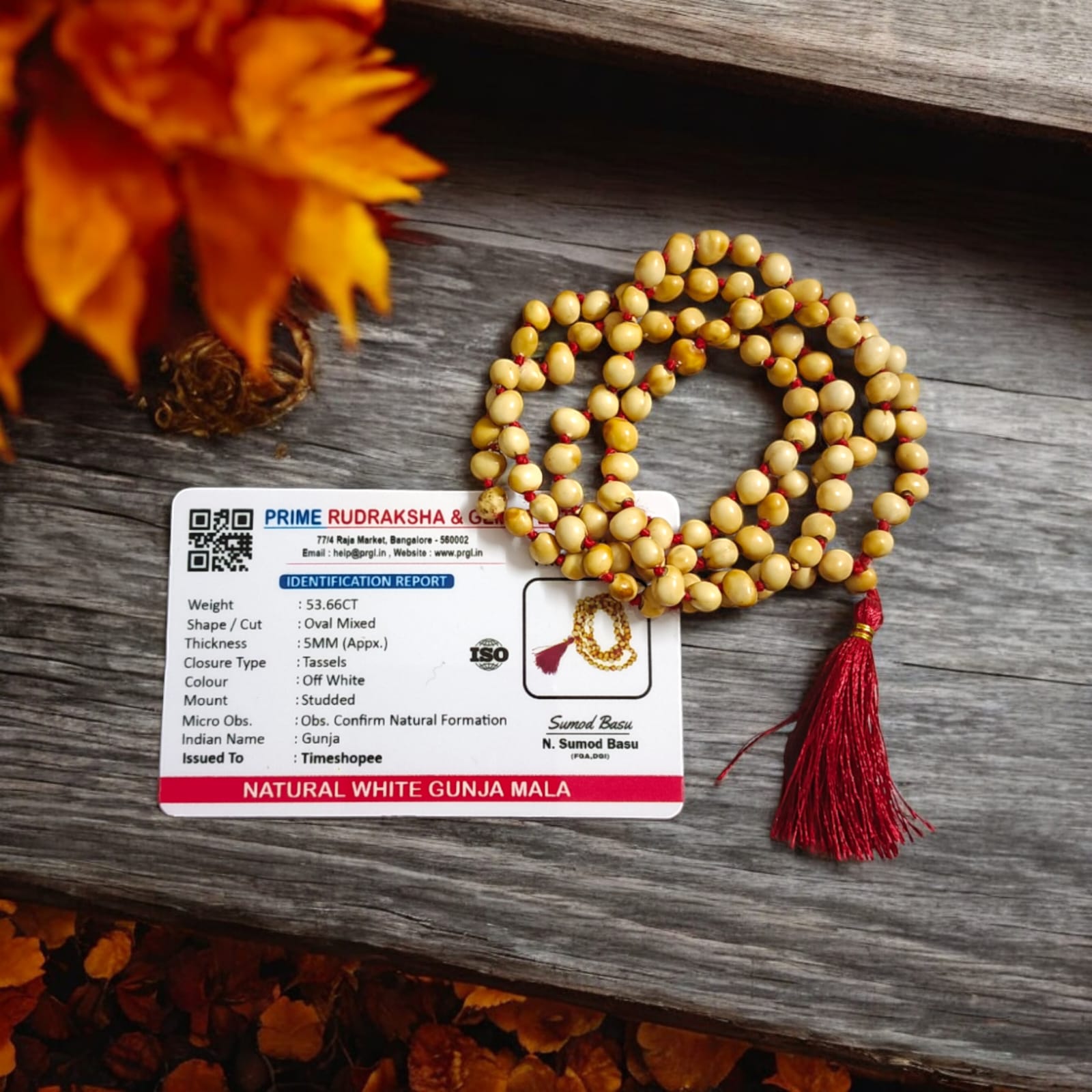 White Safed Gunja Mala with 108+1 beads, lab certified, ideal for meditation and prayer, available at Timeshopee.