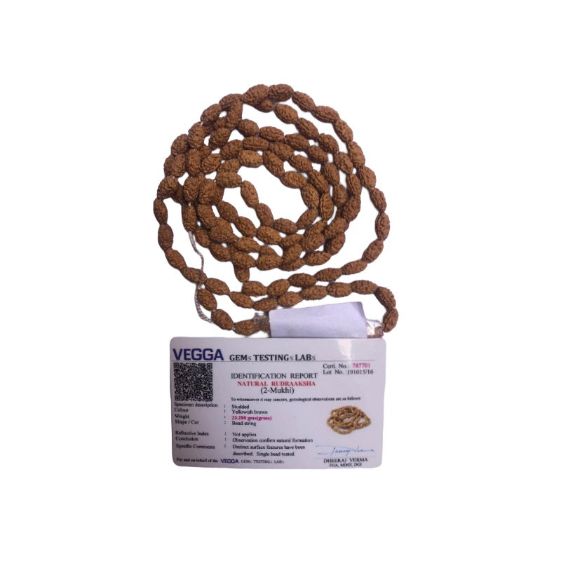 2 Mukhi Rudraksha Mala with 108+1 Beads, Lab Certified, 100% Pure