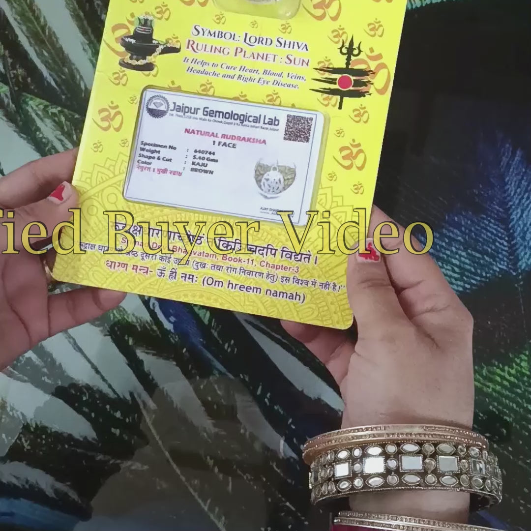 1 Mukhi Rudraksha Pendant with Silver Cap and Lab Certificate | Timeshopee