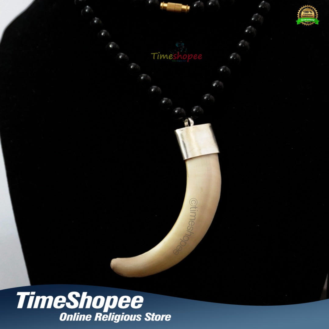 Big Wild Boar Teeth Energized with Silver Locket Cap in Black Hakik Mala | Timeshopee