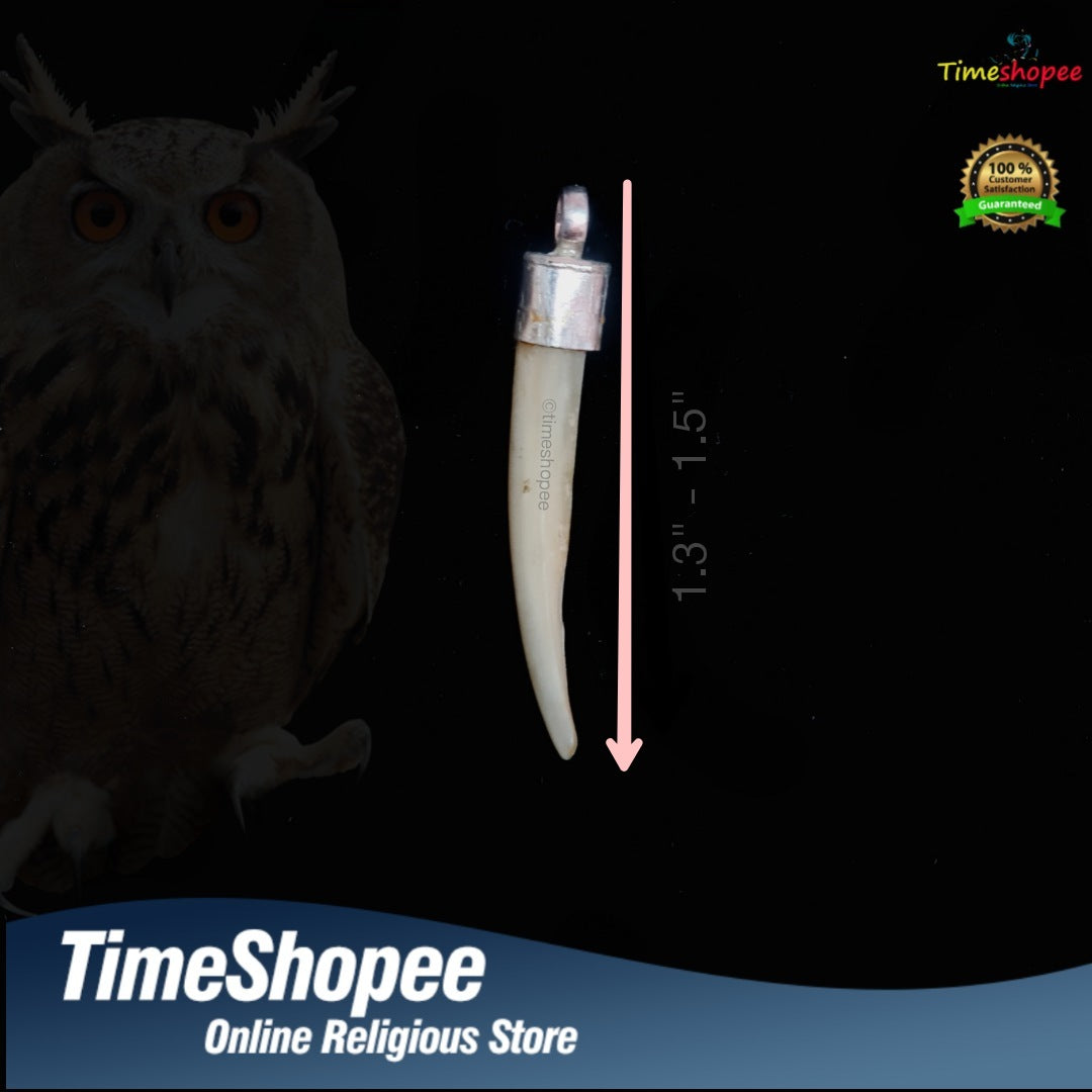 Original Owl Nail Pendant in 92.5% Silver with Adjustable Black Knotted Thread, Lab Certified, available at Timeshopee.