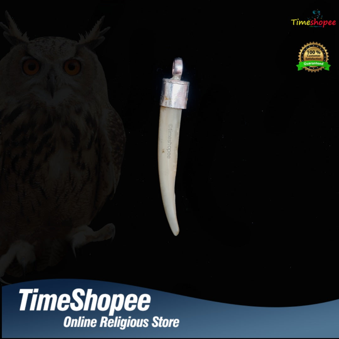 Original Owl Nail Pendant in 92.5% Silver with Adjustable Black Knotted Thread, Lab Certified, available at Timeshopee.