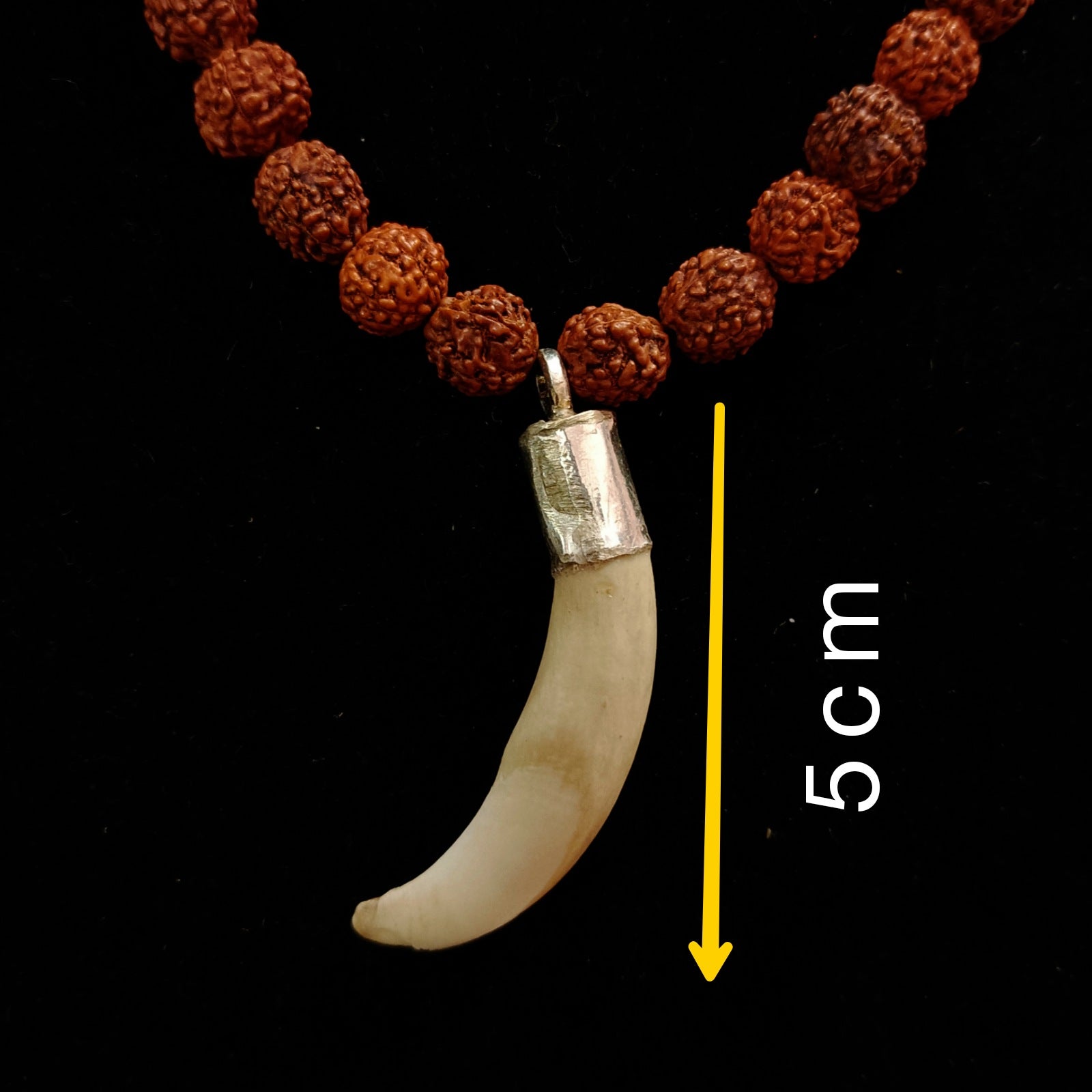 Shukar Dant C-Shape Wild Boar Teeth Pendant with Black Hakik and Rudraksha Mix Mala | Lab Certified