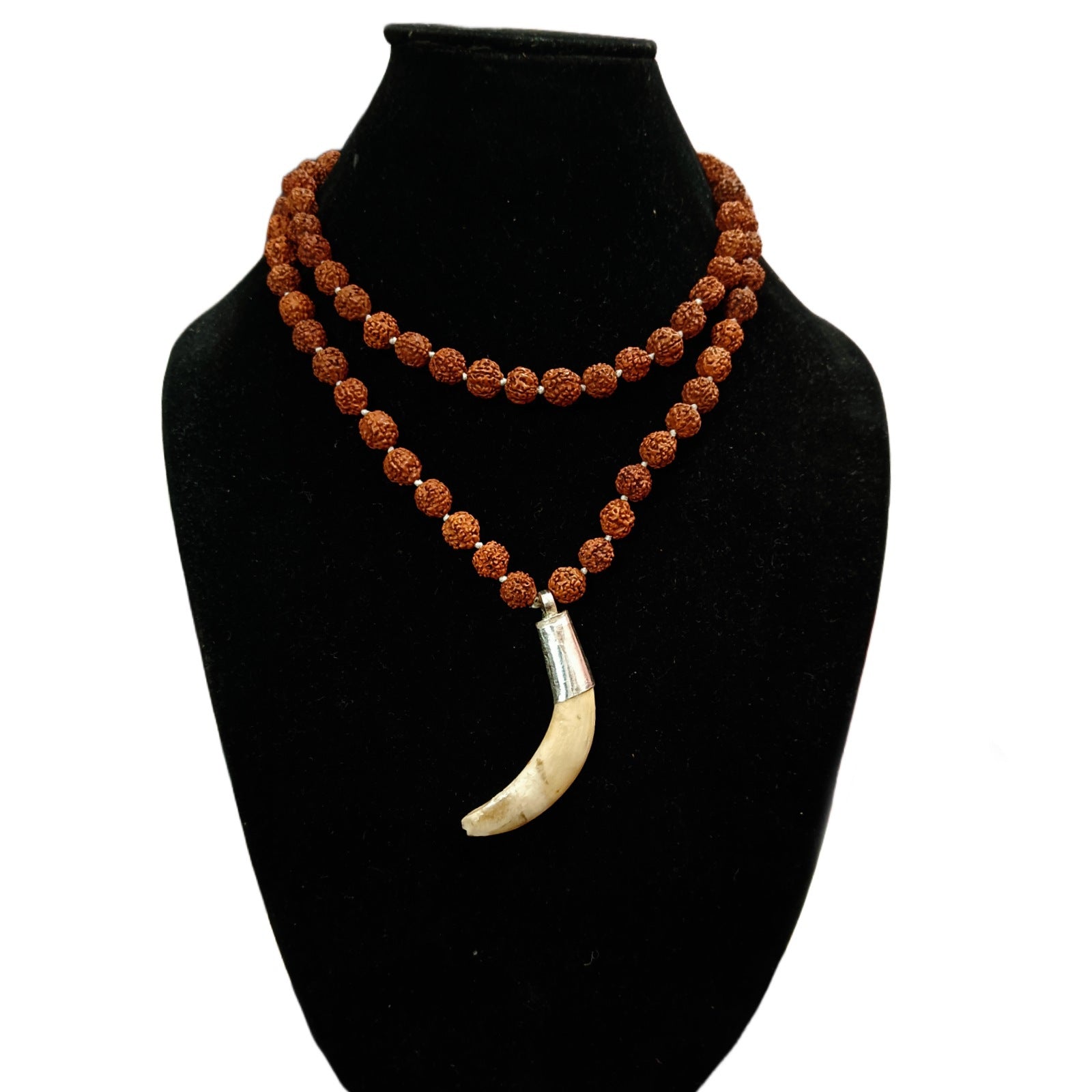 Shukar Dant C-Shape Wild Boar Teeth Pendant with Rudraksha Mala | Lab Certified