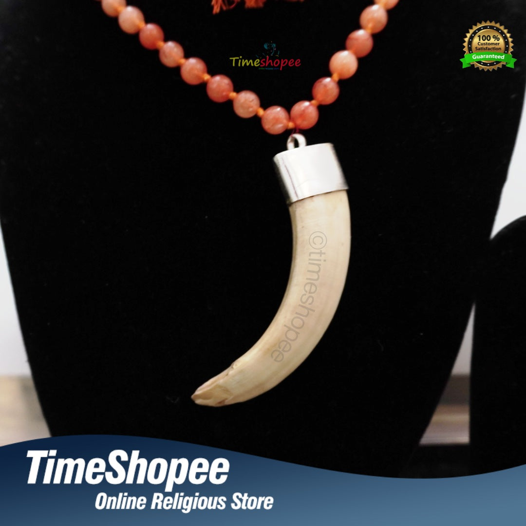 Shukar Dant | Large Wild Boar Tooth Pendant in Silver with Tourmaline Mala | Timeshopee