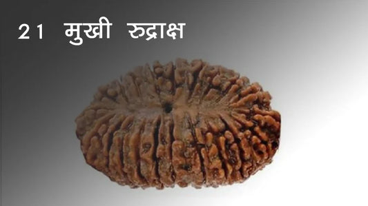 इक्कीस मुखी रुद्राक्ष के लाभ/21 Mukhi Rudraksha Benefits