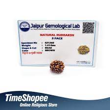 तीन मुखी रुद्राक्ष के लाभ/3 Mukhi Rudraksha Benefits