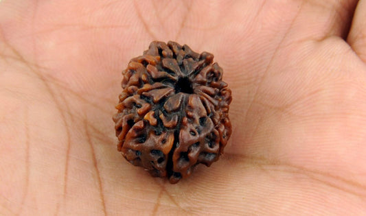 ग्यारह मुखी रुद्राक्ष के लाभ/11 Mukhi Rudraksha Benefits