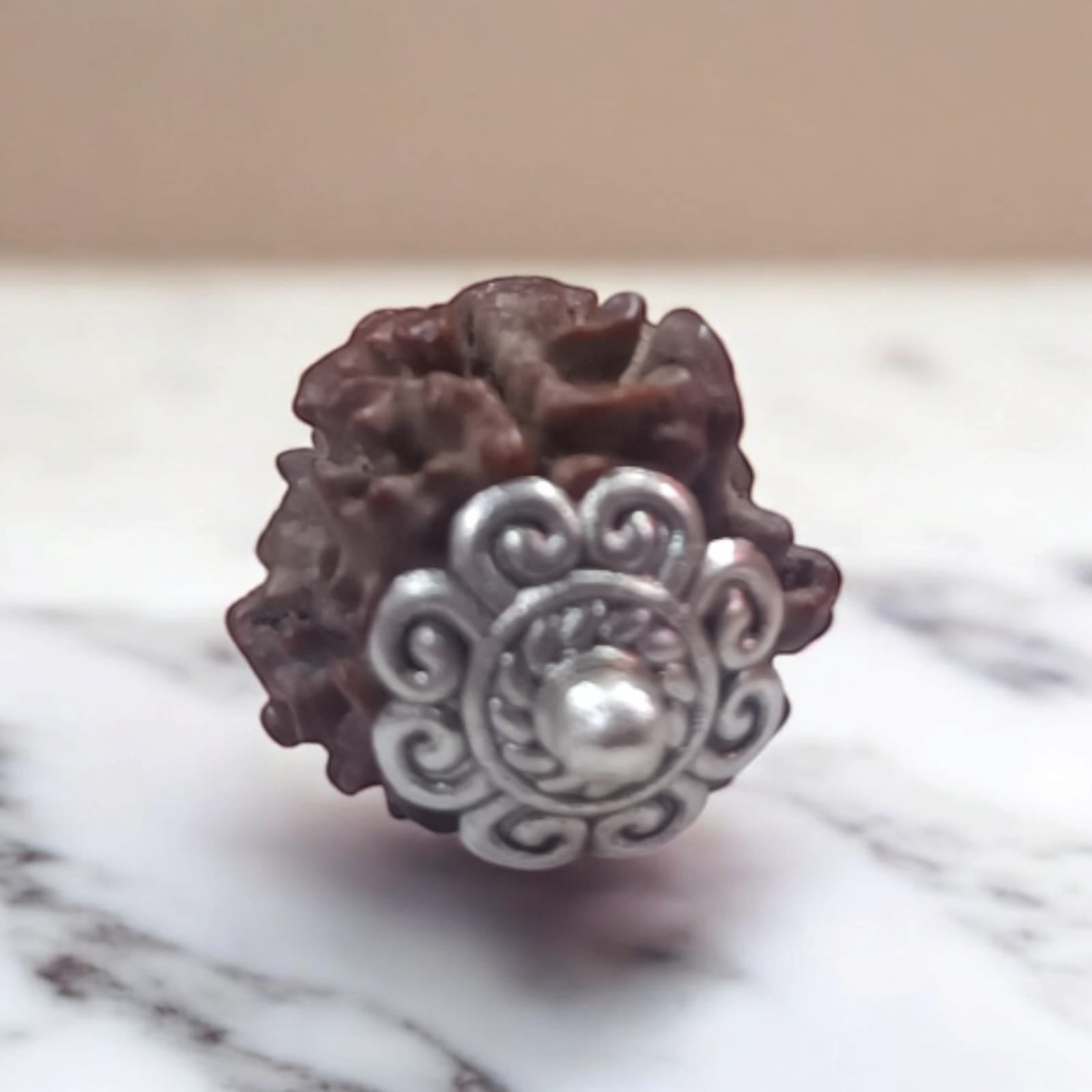 3 Mukhi Ganesh Rudraksha with three natural facets, certified by Ganesh Rudraksha Lab