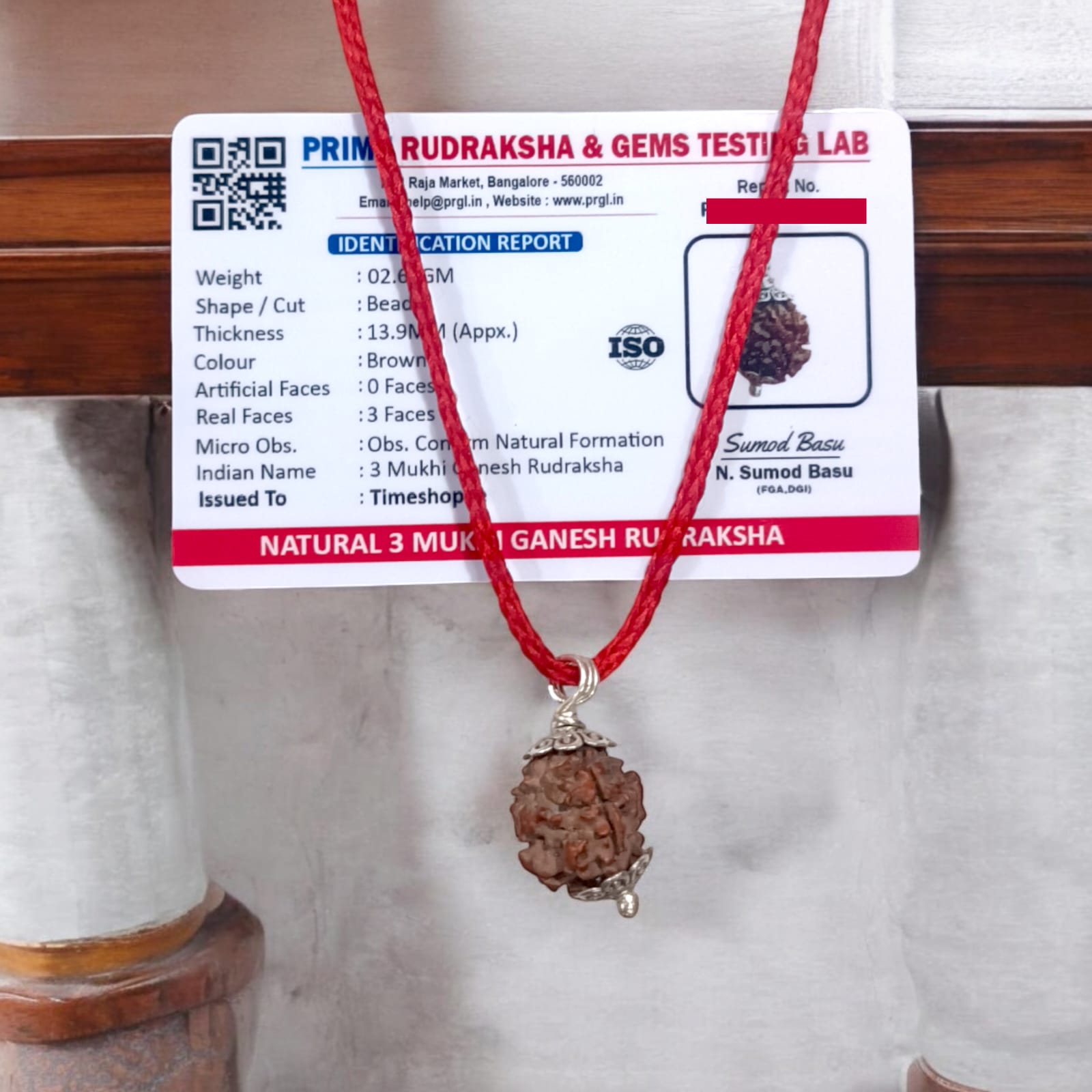 3 Mukhi Ganesh Rudraksha with three natural facets, certified by Ganesh Rudraksha Lab