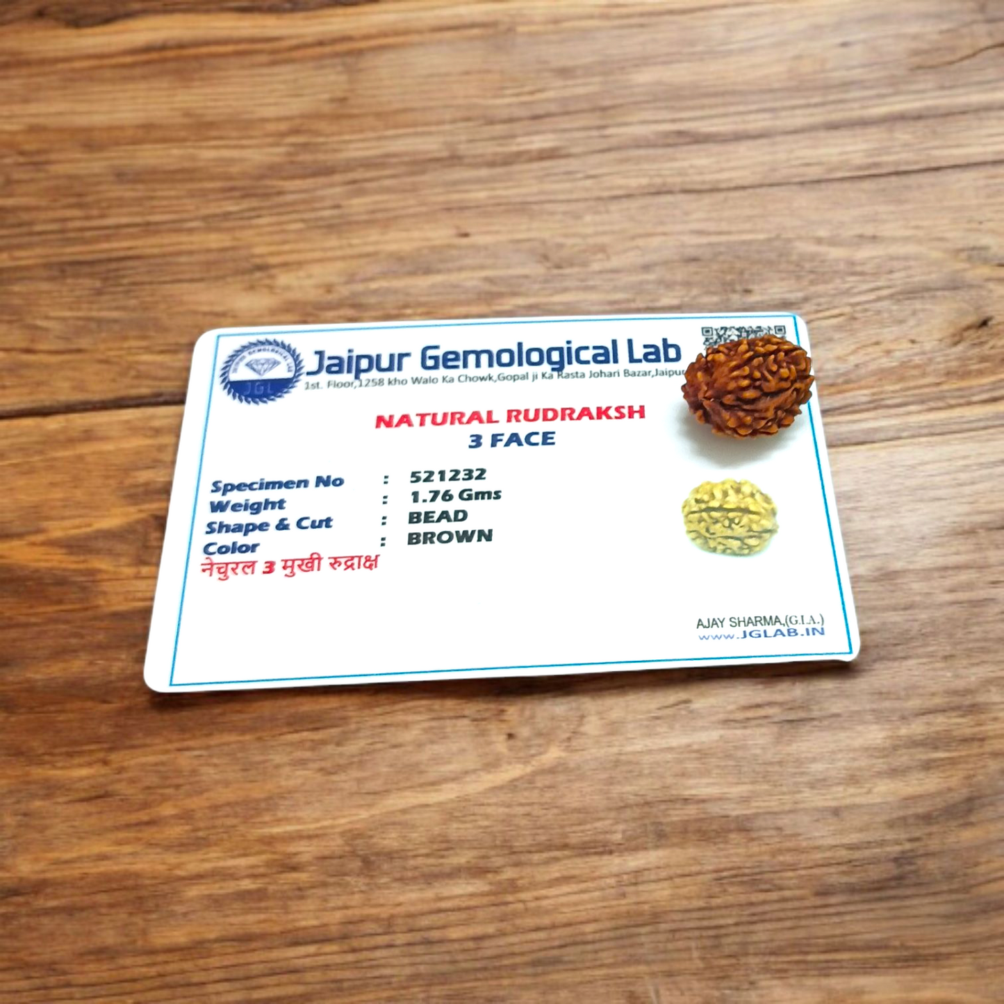3 Mukhi Rudraksha Without Pendant Lab Certified Original Spiritual Bead for Confidence and Positive Energy
