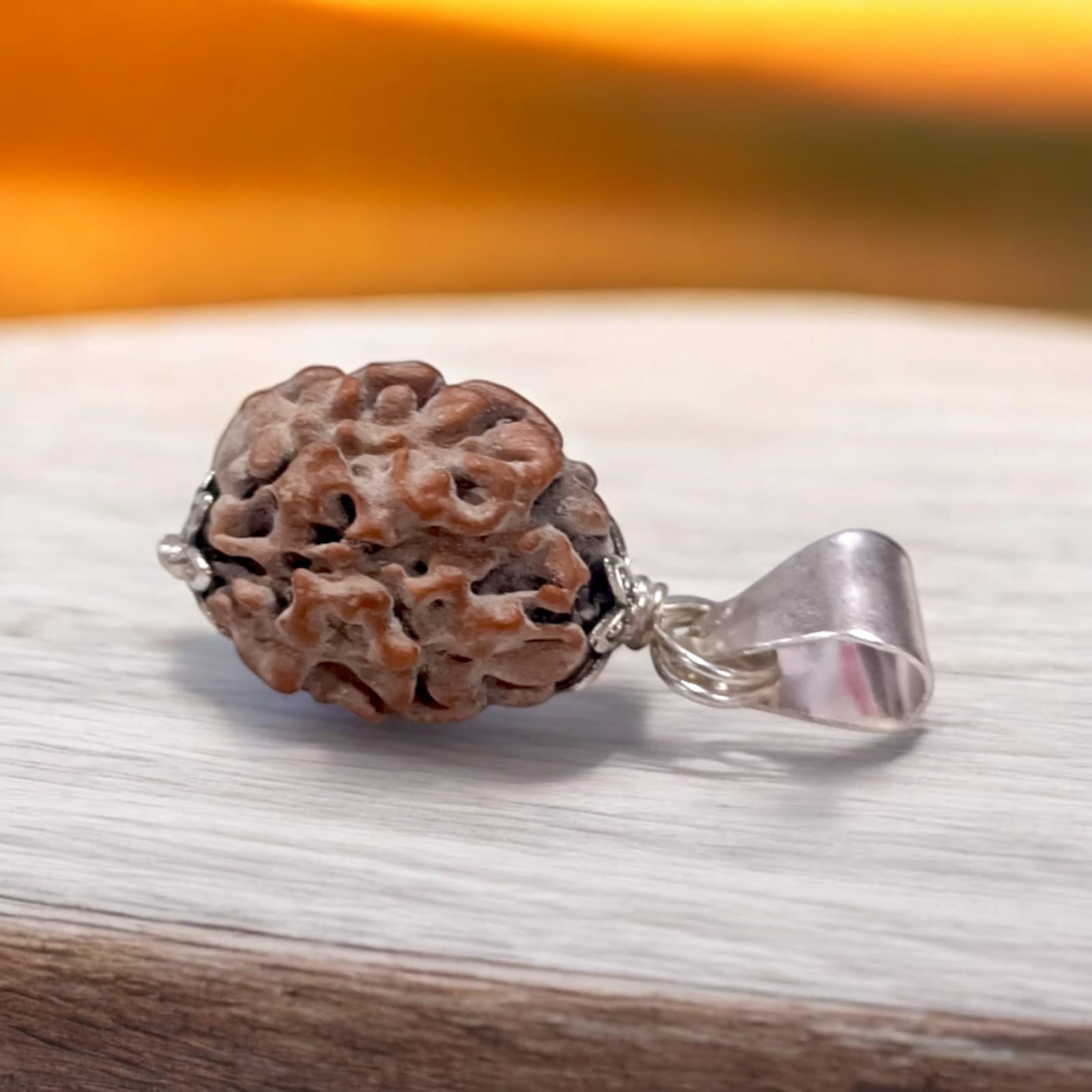 3 Mukhi Rudraksha pendant with lab certification from Timeshopee