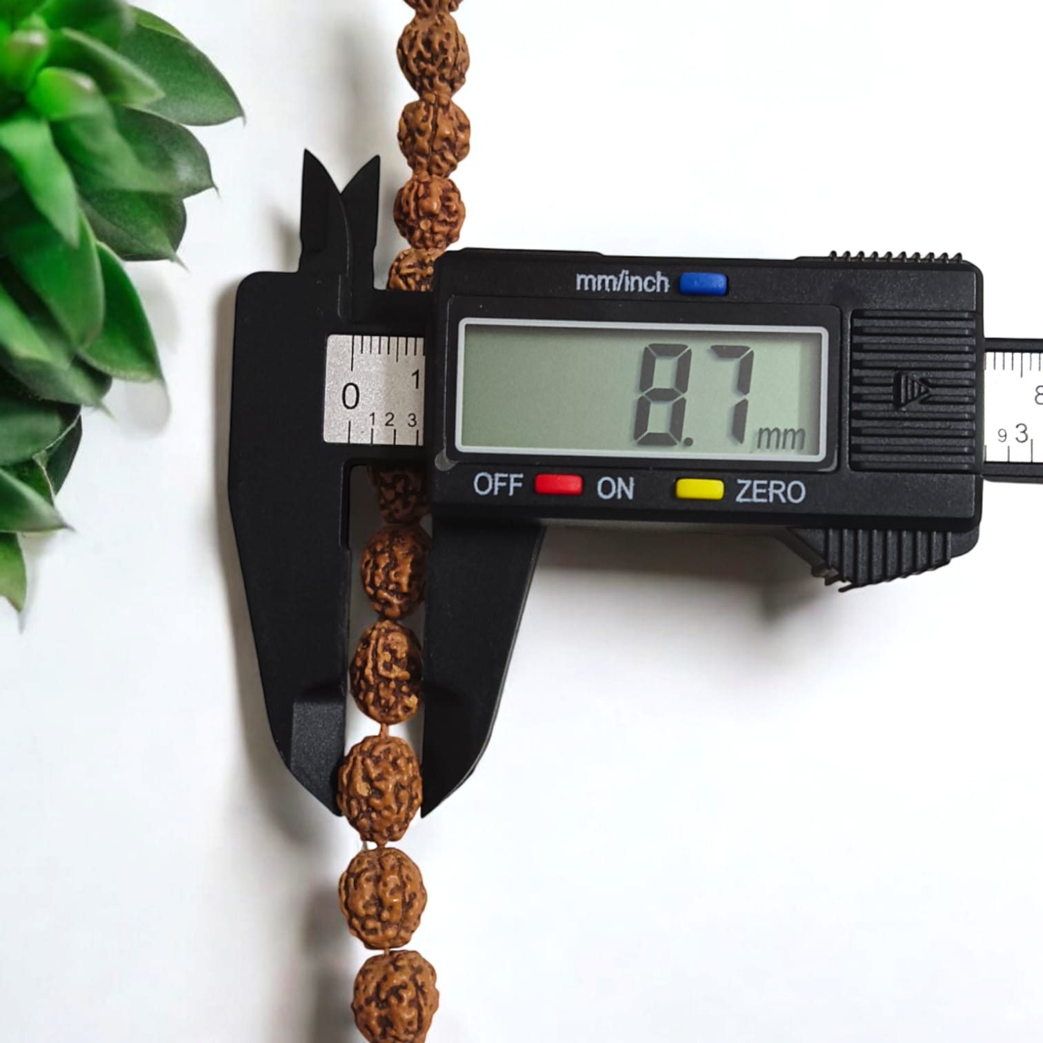 4 Mukhi Rudraksha Mala with 108+1 Beads, Lab Certified, from Timeshopee