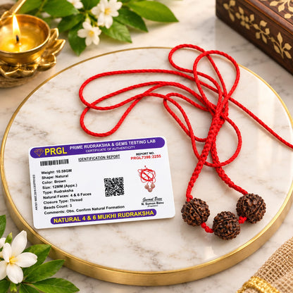 4 and 6 Mukhi Nepal Rudraksha Mala for Students Saraswati Bandh for Study and Meditation