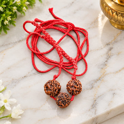 4 and 6 Mukhi Nepal Rudraksha Mala for Students Saraswati Bandh for Study and Meditation