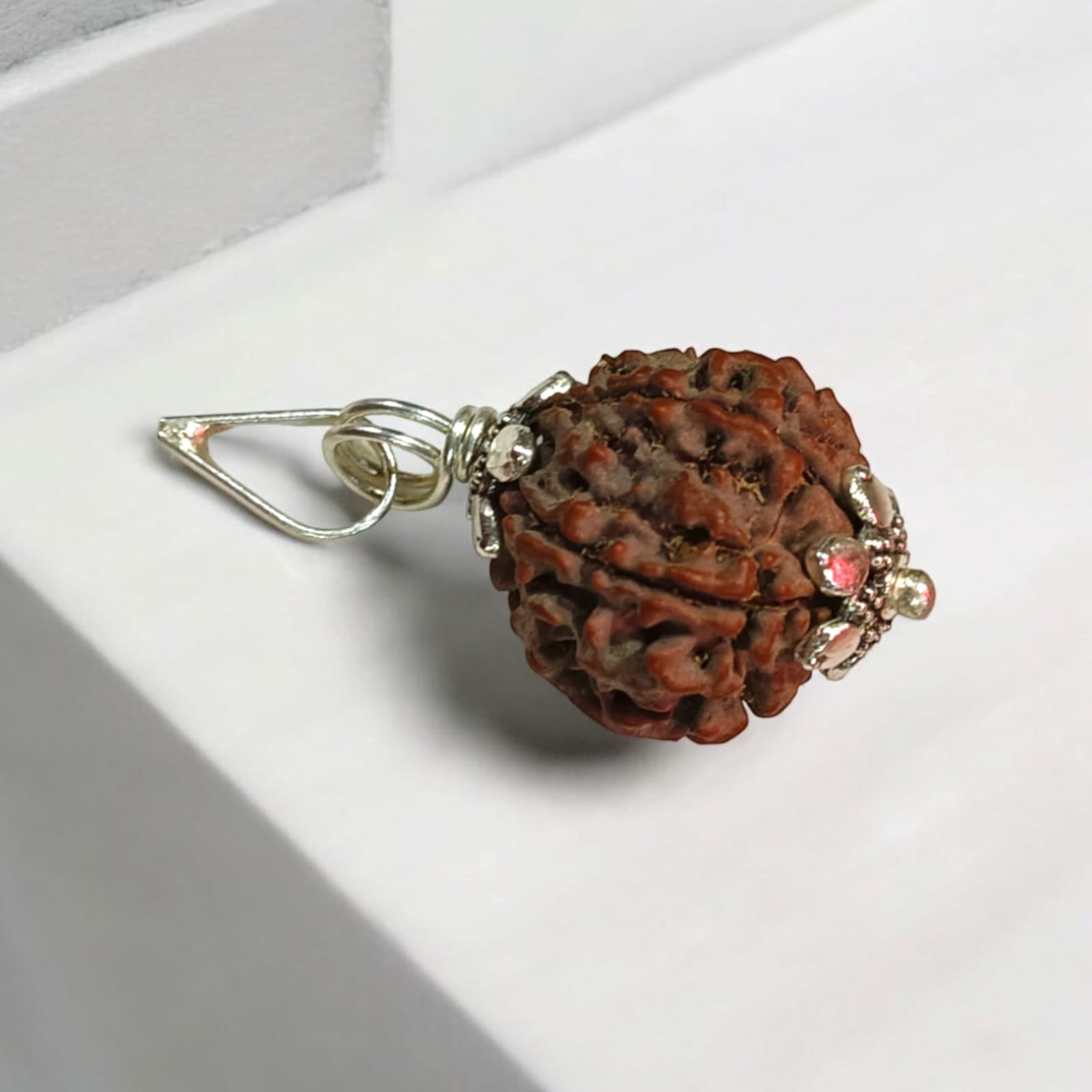 5 Mukhi Rudraksha Locket - Lab Certified, Available with or without Pendant, Timeshopee