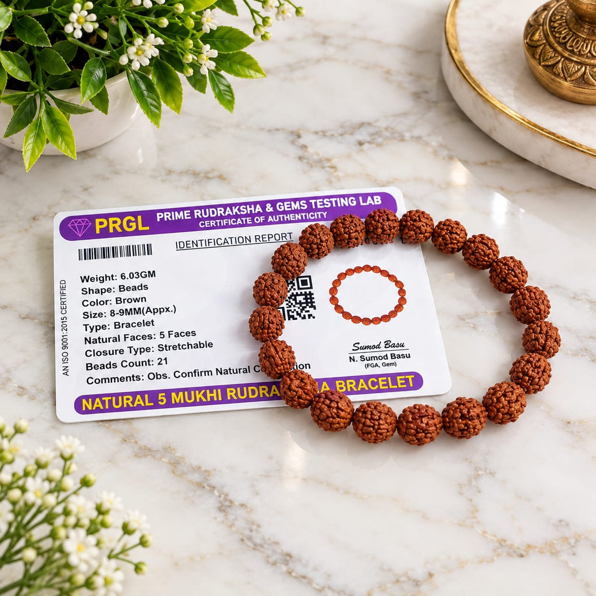 5 Mukhi 7 Mukhi Rudraksha Bracelet Combo Lab Certified Stretchable Spiritual Bracelet