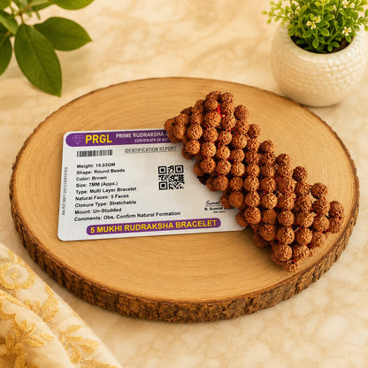 5 Mukhi Rudraksha Bracelet 7MM Multi Layer Stretchable Lab Certified Spiritual Bracelet