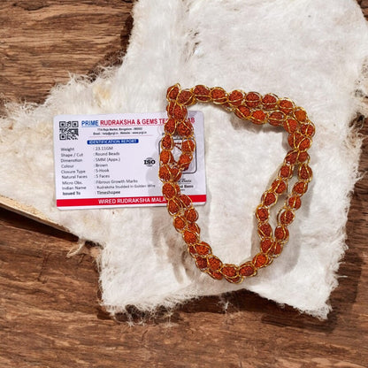 5 Mukhi Rudraksha Mala Studded in Stylish Gold Wire - Lab Certified