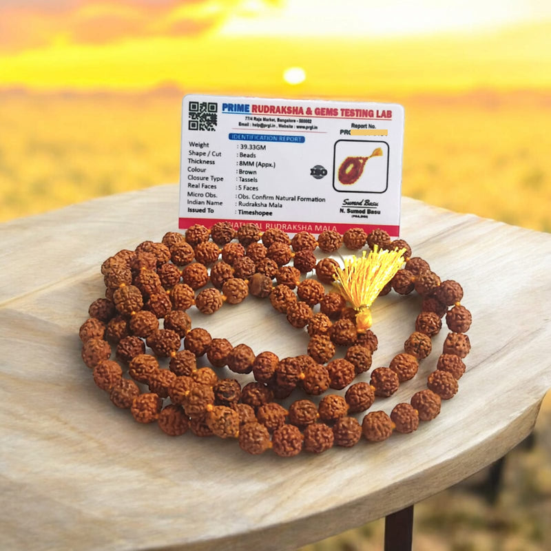 5 Mukhi Rudraksha Mala for Japa with Lab Certification, 108+1 Beads 8MM, Timeshopee