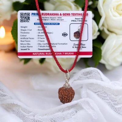 7 Mukhi Rudraksha Pendant • Lab Certified • Career & Spiritual Growth – Timeshopee