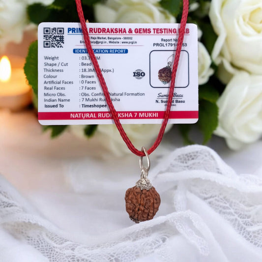 7 Mukhi Rudraksha Locket in a silver cap with black thread – Lab Certified from Timeshopee