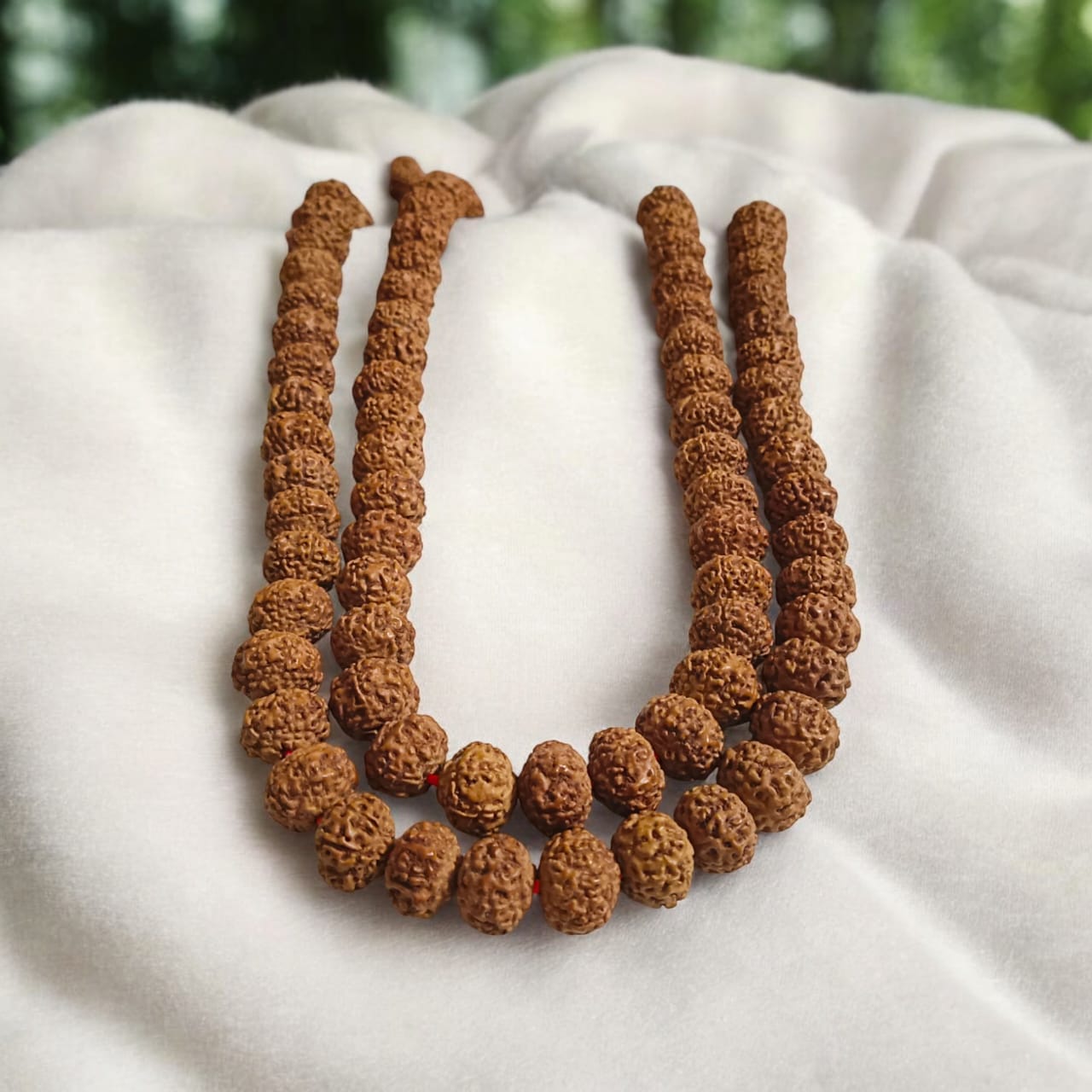 7 Mukhi Rudraksha Mala with 108 beads, lab certified
