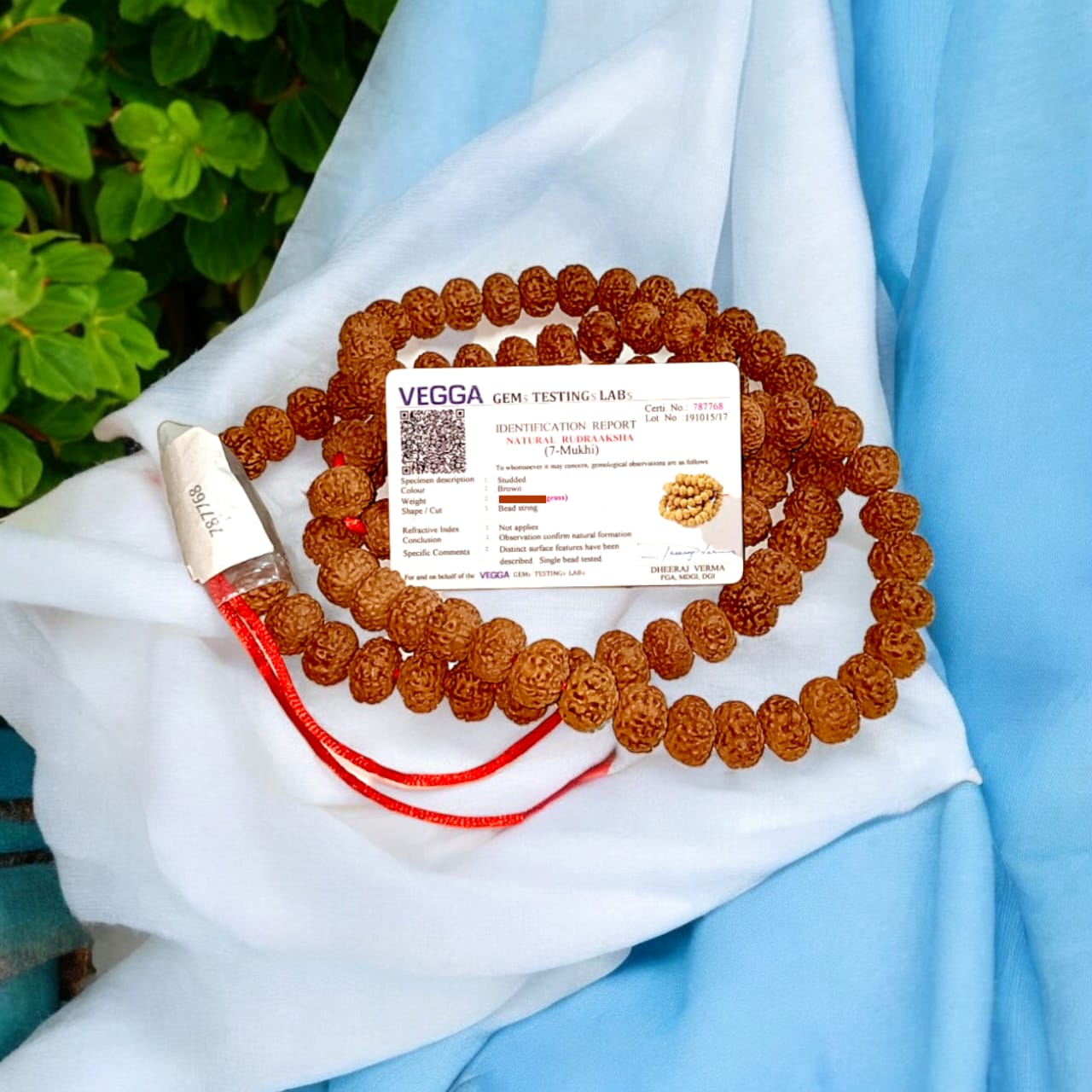 7 Mukhi Rudraksha Mala with 108 beads, lab certified