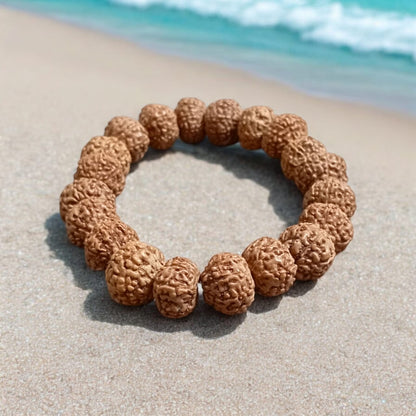 8 Mukhi Rudraksha Bracelet - Stretchable Lab Certified Bracelet for Removing Obstacles and Success by Timeshopee
