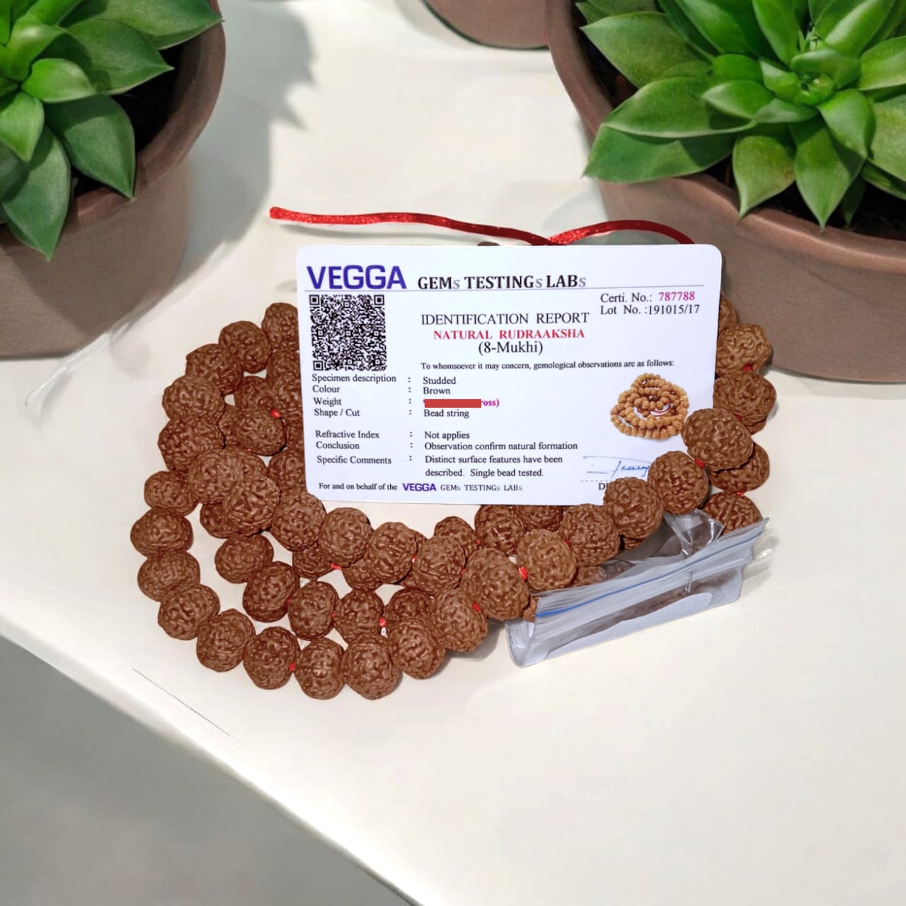  8 Mukhi Rudraksha Mala with 108 beads, lab certified