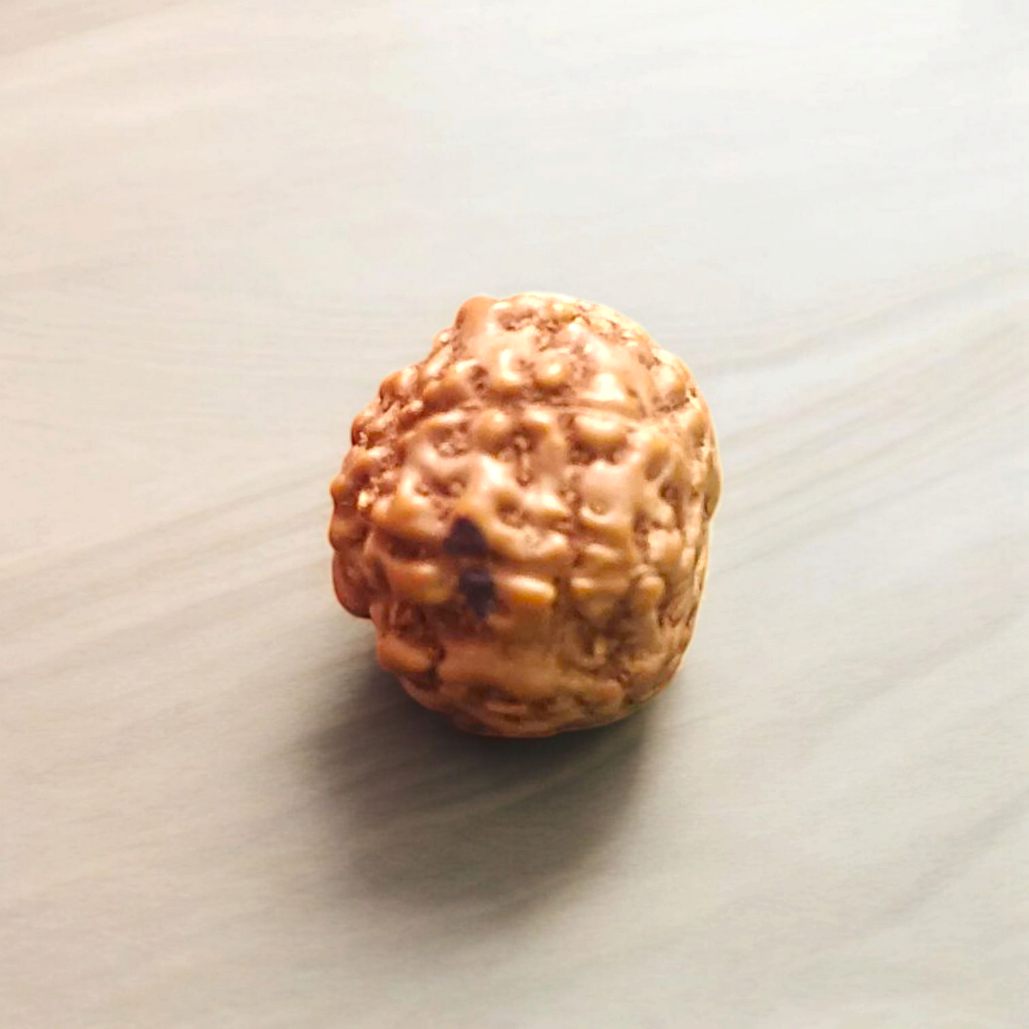 8 Mukhi Rudraksha Without Pendant Lab Certified Divine Protection Rudraksha Bead for Spiritual Growth and Obstacle Removal