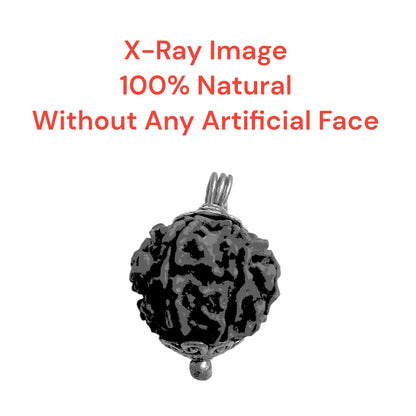 9 Mukhi Rudraksha Locket Lab Certified with and without Cap