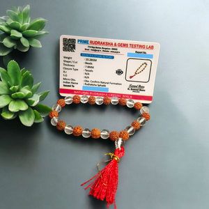 27+1 Beads