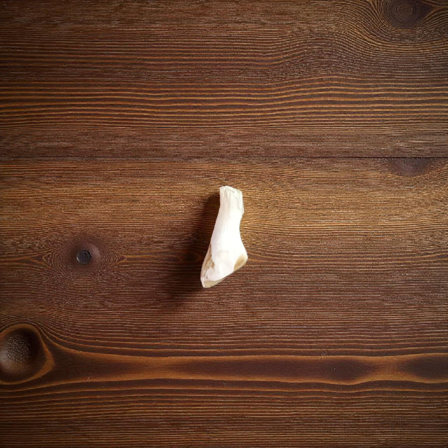 A high-quality natural Ketu Mani gemstone without studded design, lab-certified, displayed on a white background, symbolizing purity and spiritual balance