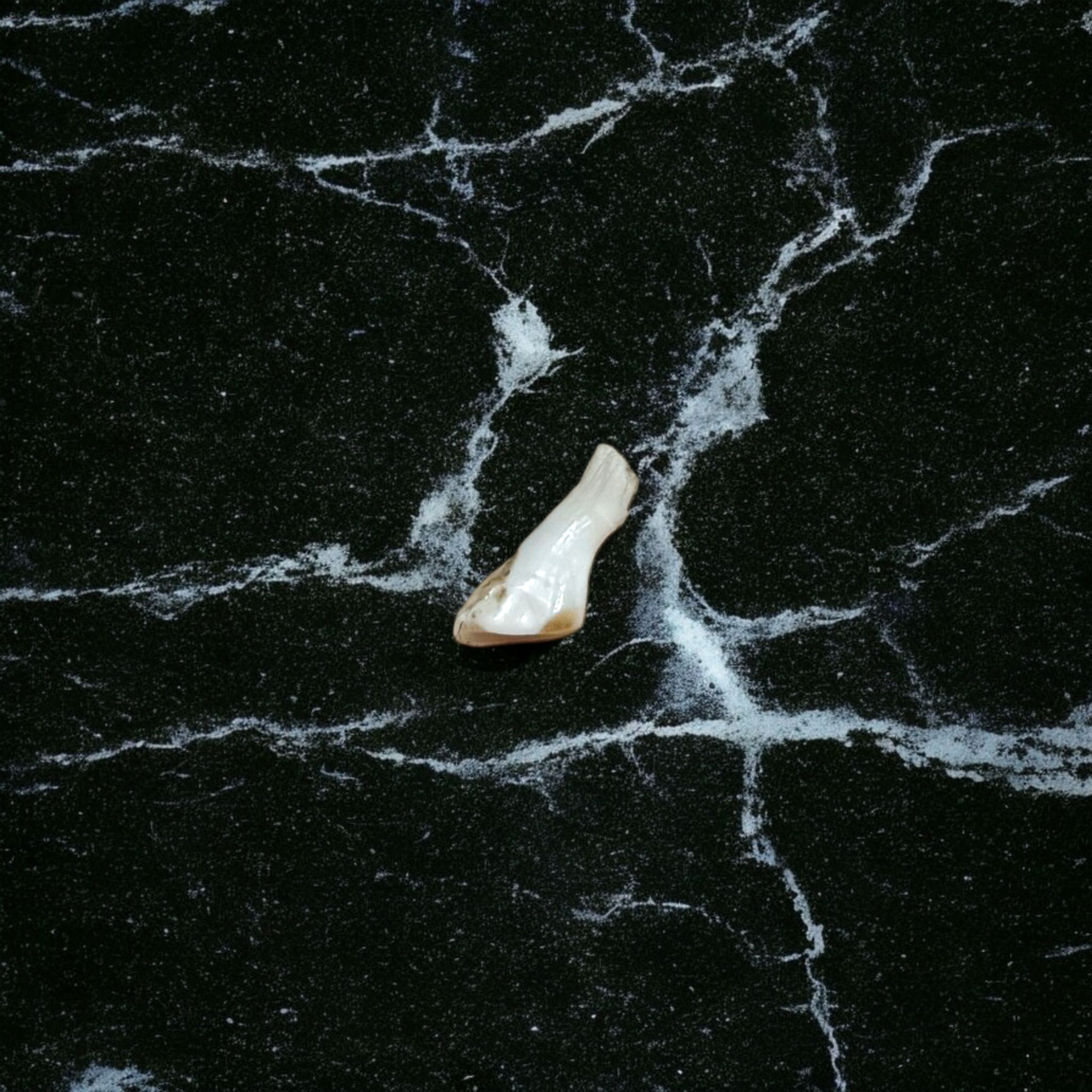 A high-quality natural Ketu Mani gemstone without studded design, lab-certified, displayed on a white background, symbolizing purity and spiritual balance