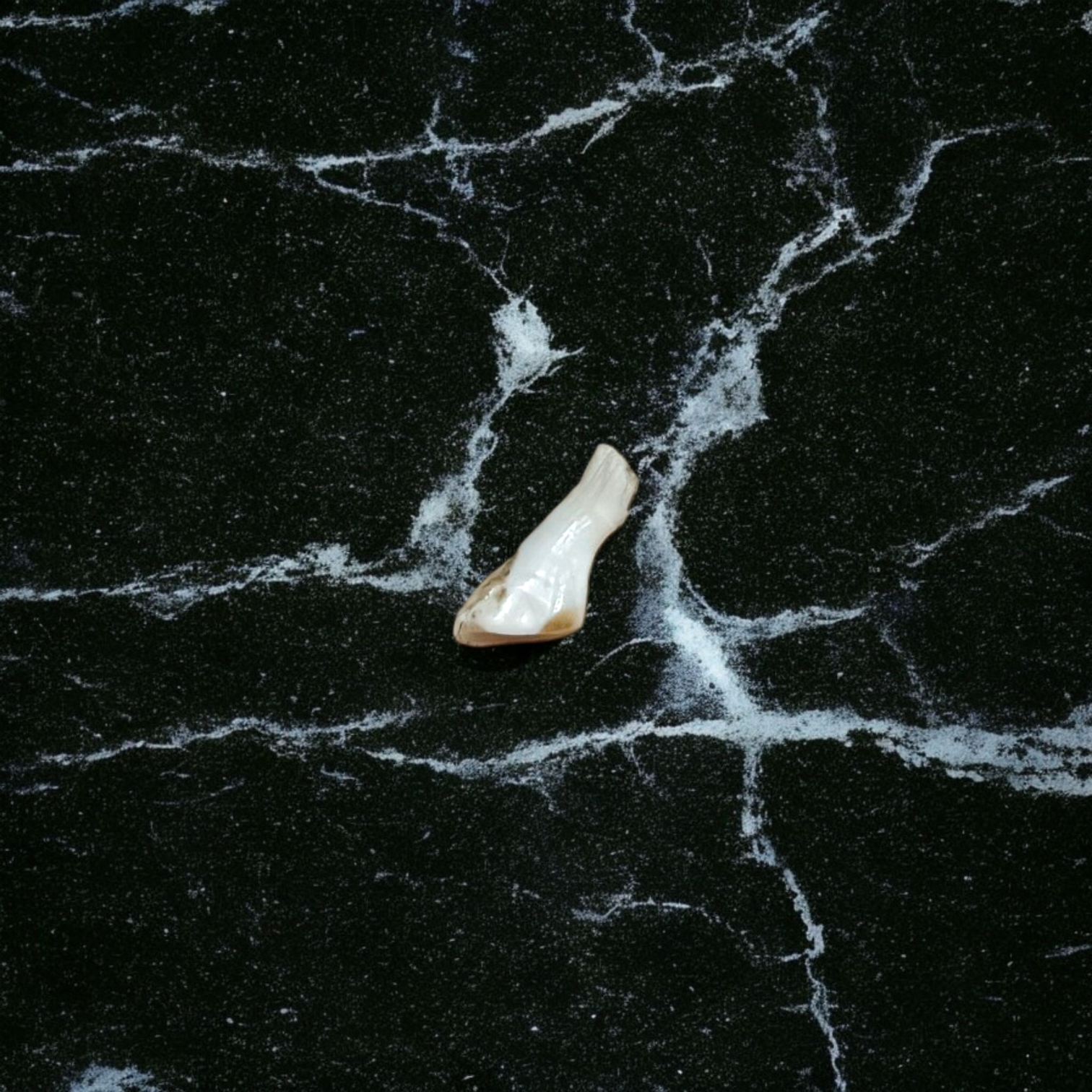 A high-quality natural Ketu Mani gemstone without studded design, lab-certified, displayed on a white background, symbolizing purity and spiritual balance