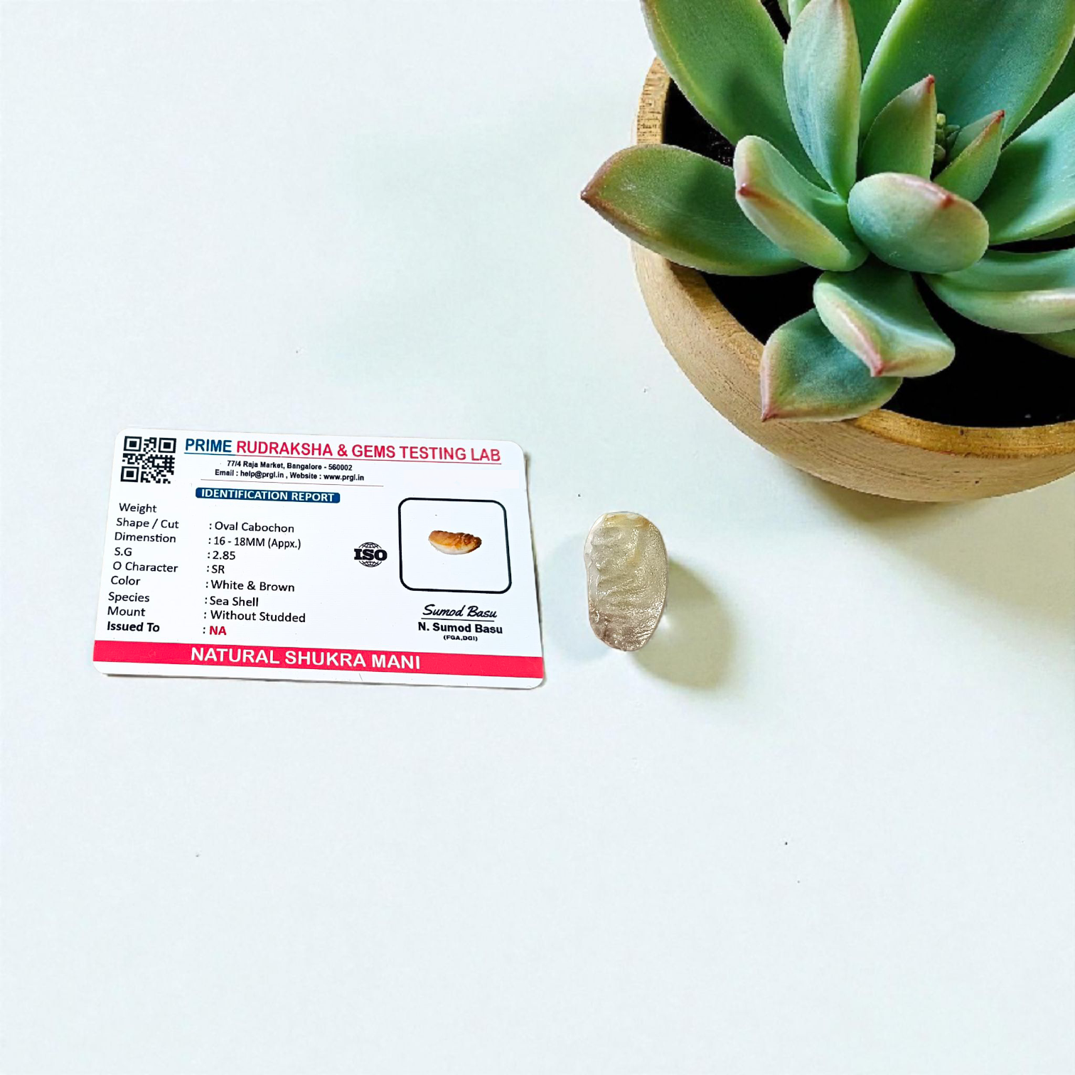 A pure, lab-certified Natural Shukra Mani gemstone without studded design, symbolizing Venus energy, love, and prosperity, displayed on a white background