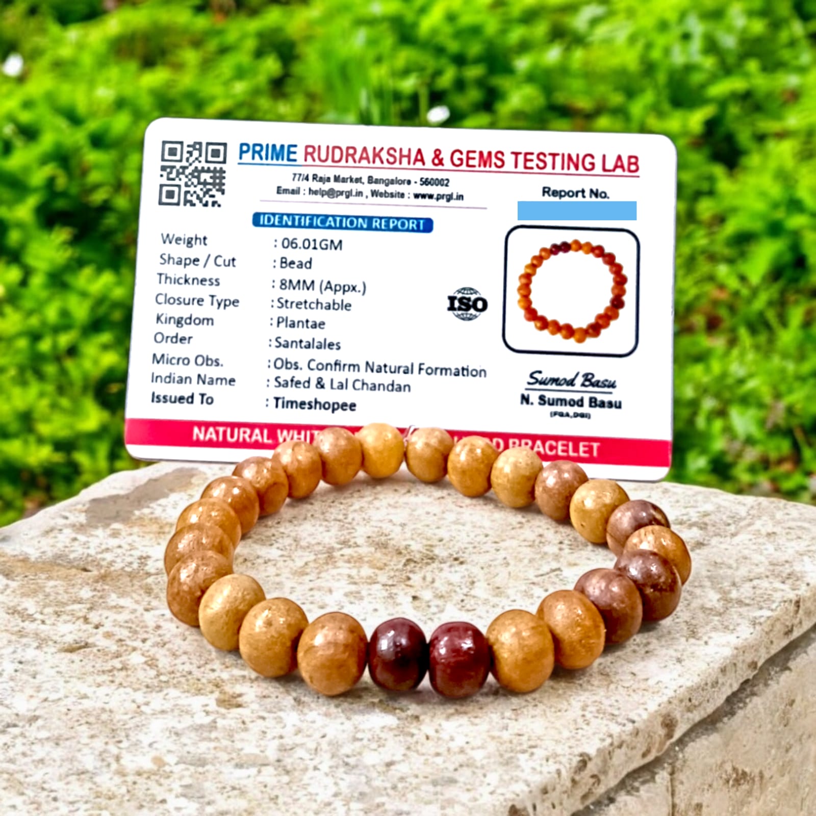 A beautiful Red & White Sandalwood Bracelet with 8MM lab-certified beads, showcasing its elegant design and spiritual significance.