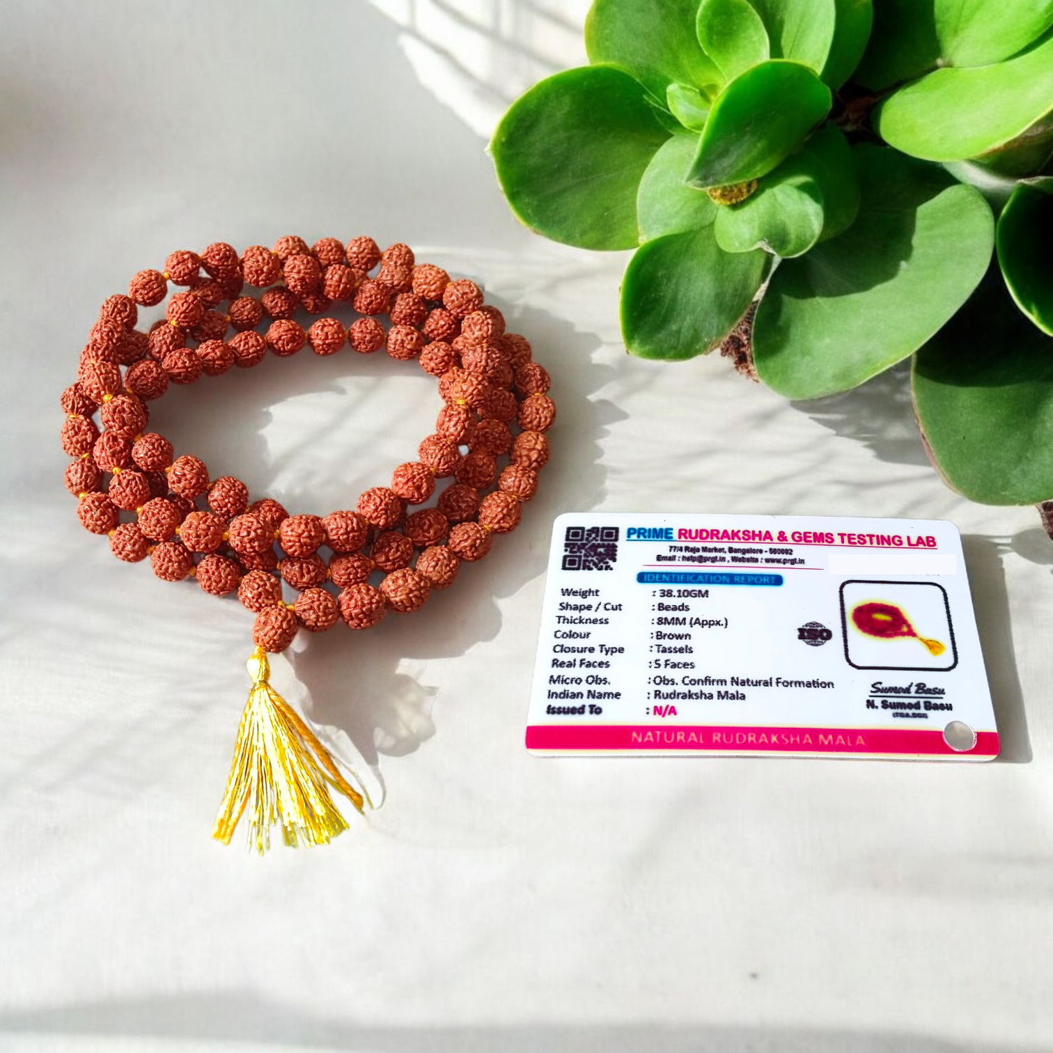 
Authentic 5 Mukhi Rudraksha Mala and Pendant Combo placed on a white background with sacred thread and spiritual packaging

