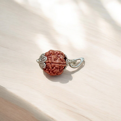 Authentic 5 Mukhi Rudraksha Mala and Pendant Combo placed on a white background with sacred thread and spiritual packaging