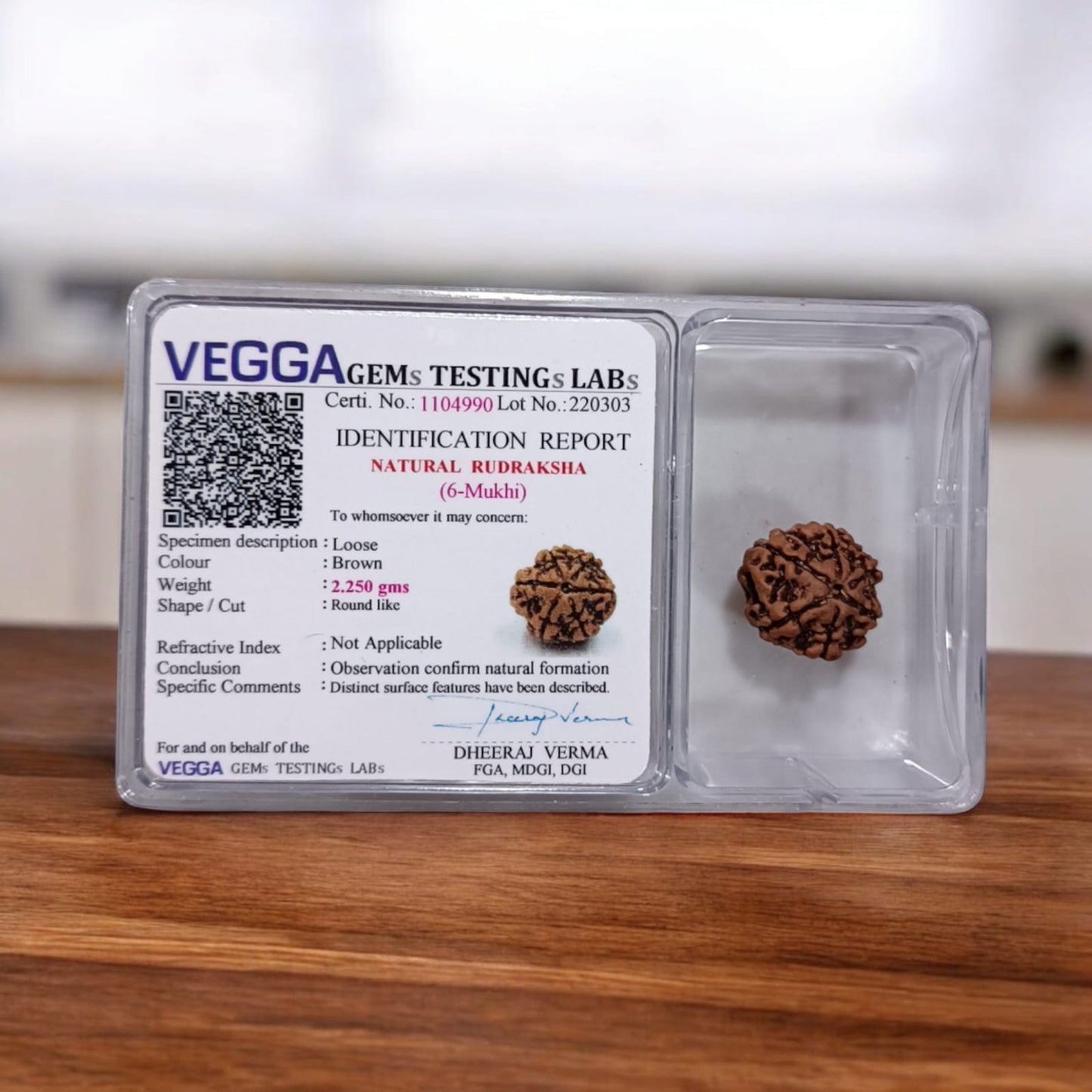 Authentic 6 Mukhi Rudraksha Without Pendant Lab Certified Spiritual Bead for Confidence Wisdom and Spiritual Growth by Timeshopee