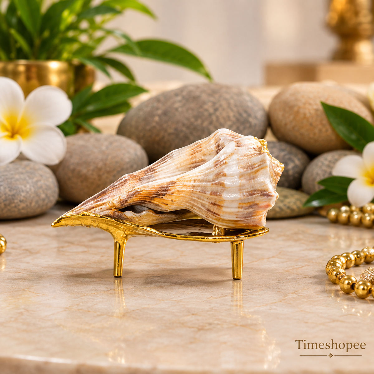 Authentic Dakshinavarti Shankh (Valampuri Sangu) - Right-handed sacred conch shell for Lakshmi pooja and vastu use