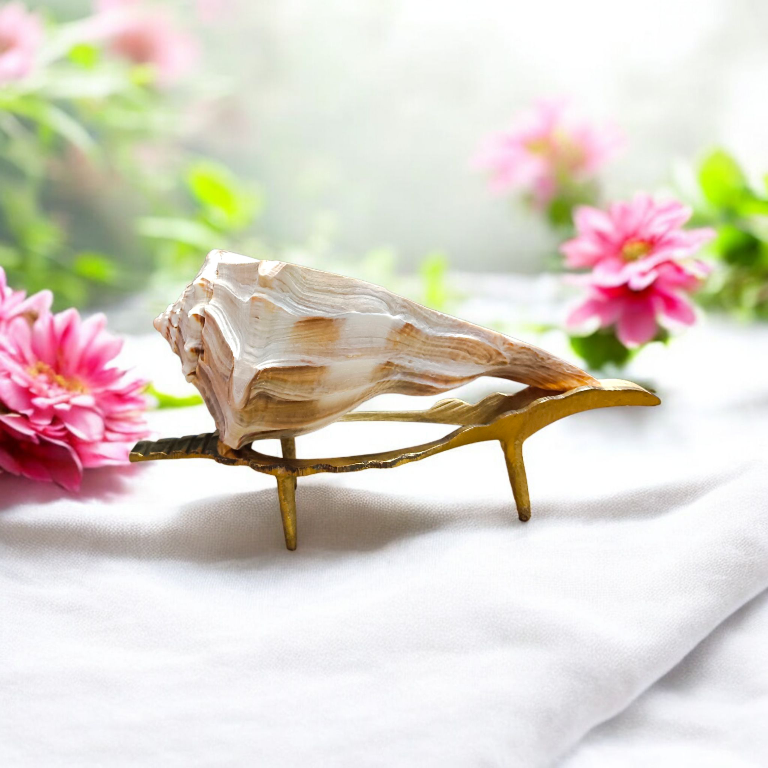 Authentic Dakshinavarti Shankh (Valampuri Sangu) - Right-handed sacred conch shell for Lakshmi pooja and vastu use