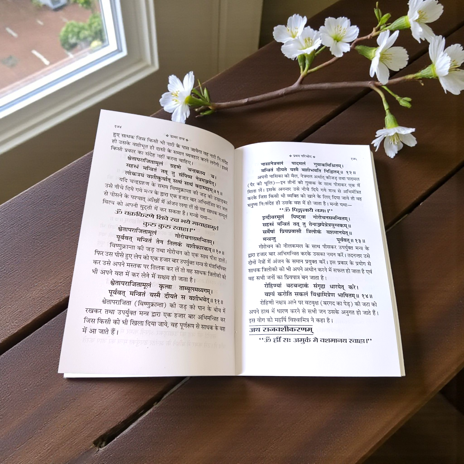 Bhoot Damar Tantram Aur Damar Tantra In Hindi Book – Ancient Tantric Scripture for Spiritual Readers and Sadhaks