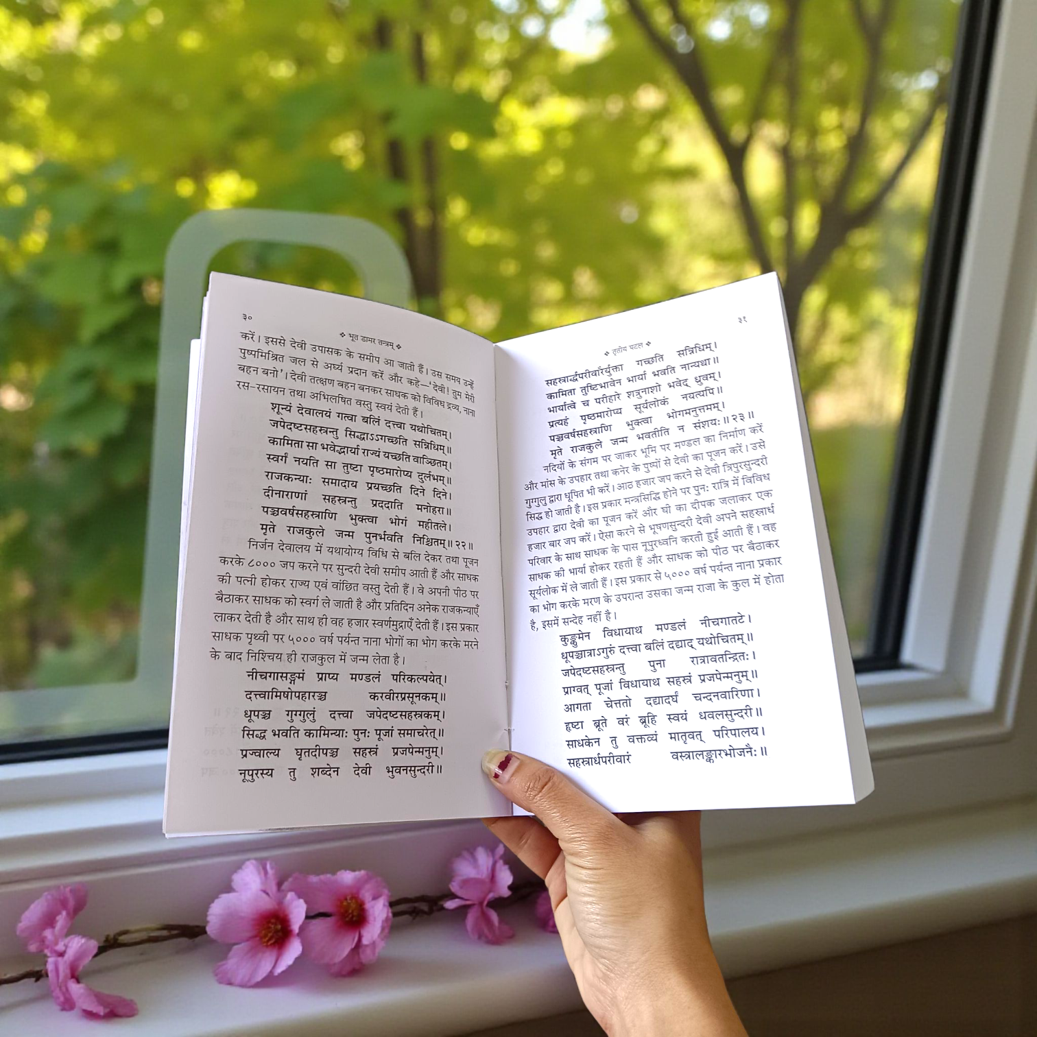 Bhoot Damar Tantram Aur Damar Tantra In Hindi Book – Ancient Tantric Scripture for Spiritual Readers and Sadhaks