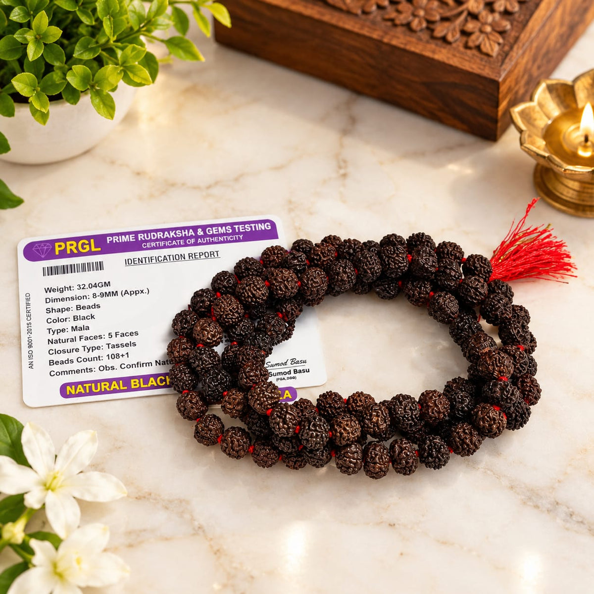 Black Rudraksha Mala and Bracelet Combo Lab Certified for Meditation Yoga