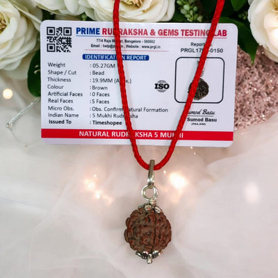 5 Mukhi Rudraksha Pendant | Lab Certified Spiritual Bead | Timeshopee